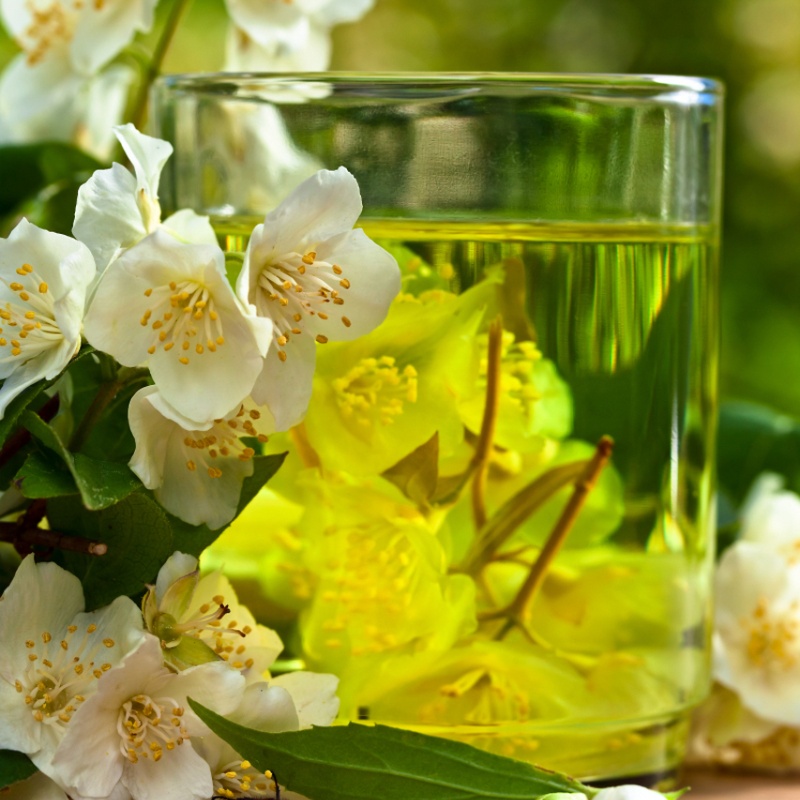 A clear glass cup of jasmine tea with blooming flowers, symbolizing the natural and refreshing appeal of jasmine tea for weight loss.