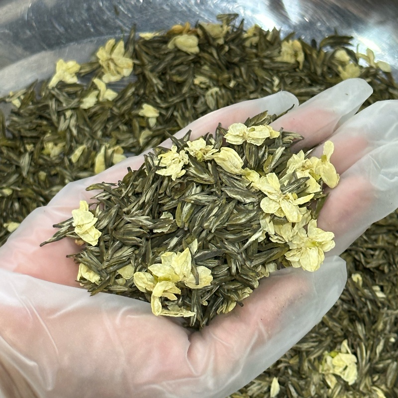 Close-up of premium loose jasmine tea with dried flowers in a gloved hand, showcasing freshness and emphasizing jasmine tea caffeine content for health-conscious consumers.