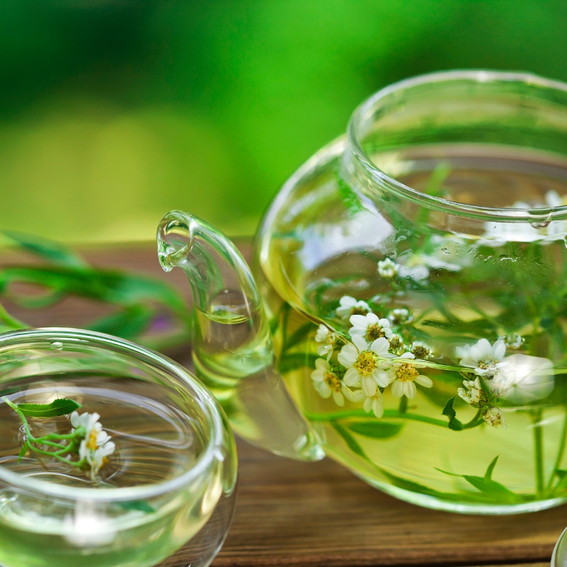 A glass teapot and teacup filled with fresh jasmine blossoms steeping in hot water, perfectly illustrating how to make jasmine tea in a natural and elegant way.